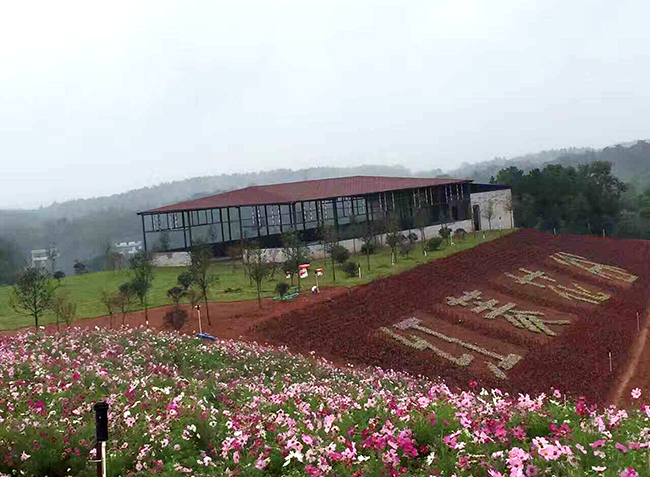 岳陽(yáng)汨羅市西長(zhǎng)四季花谷